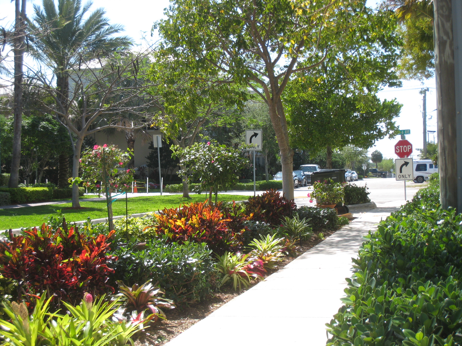 IFAS Palm Beach Extension: Environmental Horticulture Providing useful ...